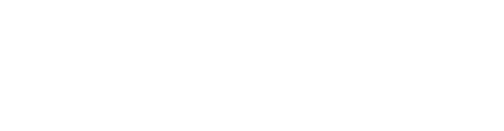 teslavin